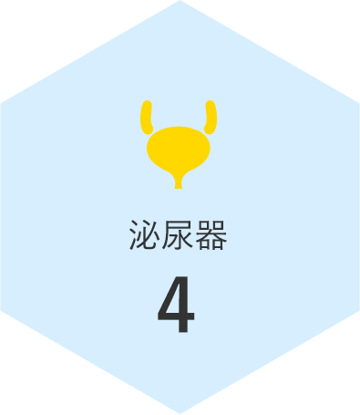 泌尿器 2