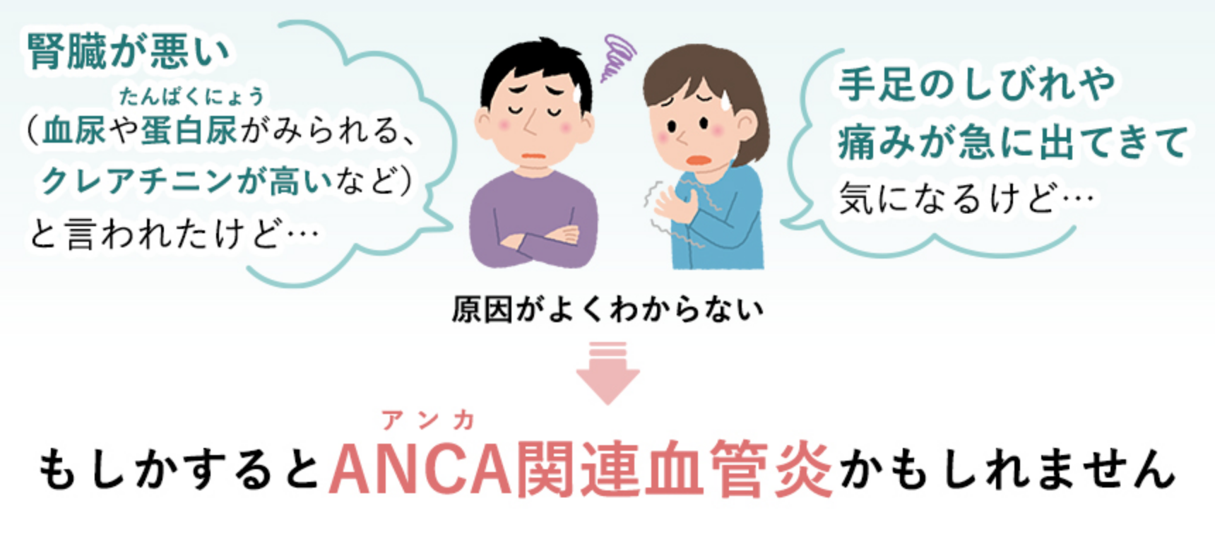 腎臓が悪い（血尿や蛋白尿がみられる、クレアチニンが高いなど）と言われたけど⋯ 手足のしびれや痛みが急に出てきて気になるけど⋯ 原因がよくわからない ↓ もしかするとANCA関連血管炎かもしれません