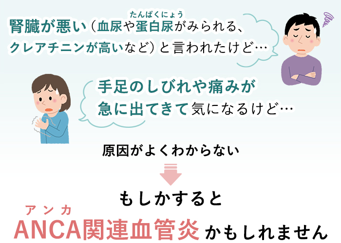 腎臓が悪い（血尿や蛋白尿がみられる、クレアチニンが高いなど）と言われたけど⋯ 手足のしびれや痛みが急に出てきて気になるけど⋯ 原因がよくわからない ↓ もしかするとANCA関連血管炎かもしれません