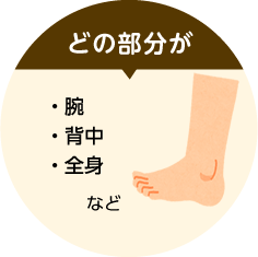 どの部分が