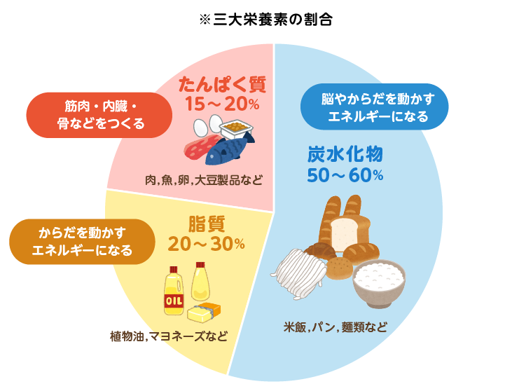 三大栄養素の割合のグラフ