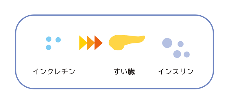 2.インクレチン作用不足