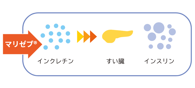 3.マリゼブ®とは
