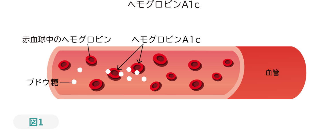 図１ ヘモグロビンA1c