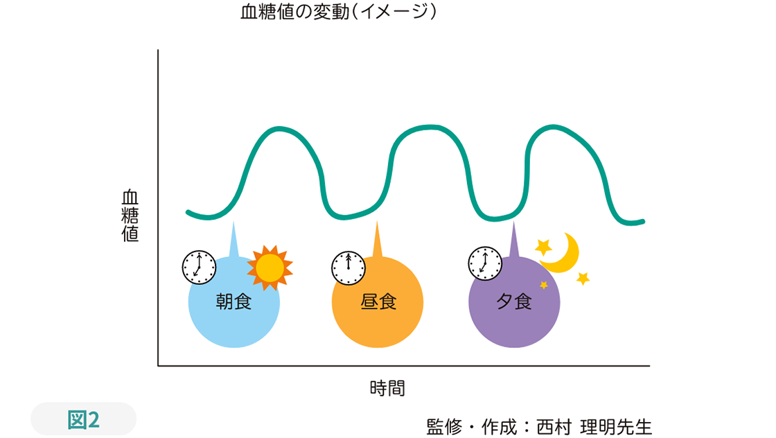 図２ 血糖値の変動（イメージ）