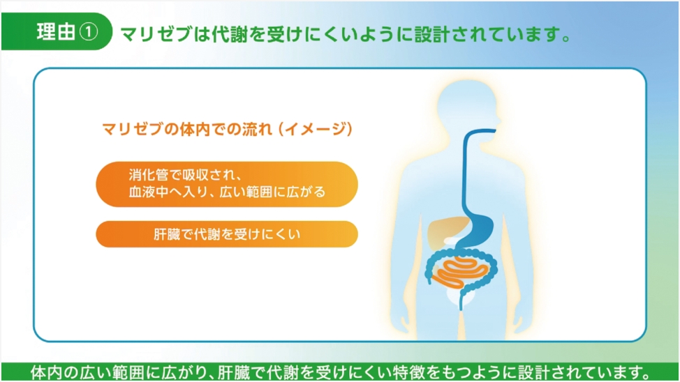 【動画】専門医が教える　なぜ糖尿病のお薬を飲まなくてはいけないの？