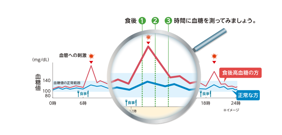 糖尿病に関する検査から何が分かるの？