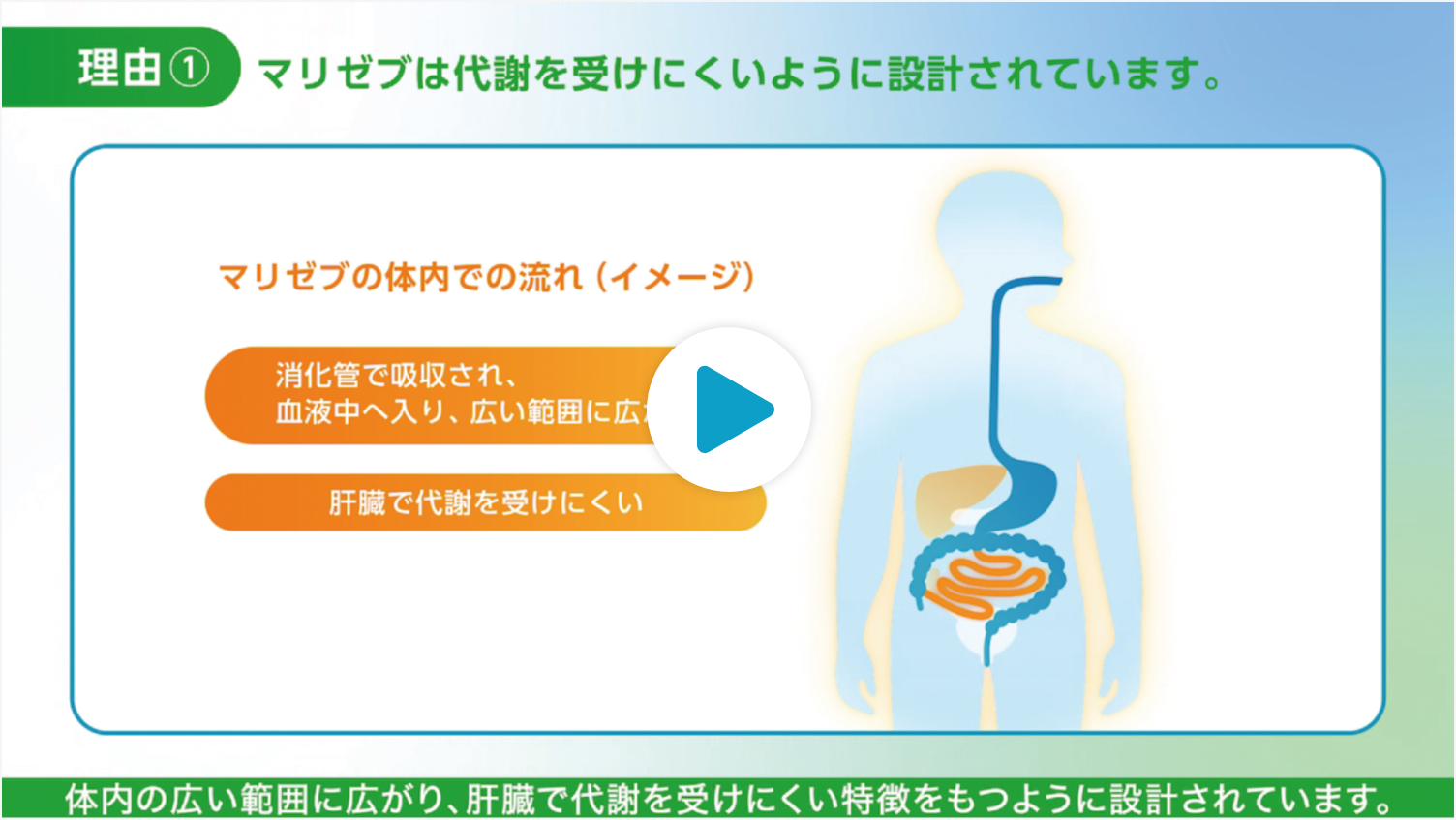 【動画】専門医が教える なぜ糖尿病のお薬を飲まなくてはいけないの?