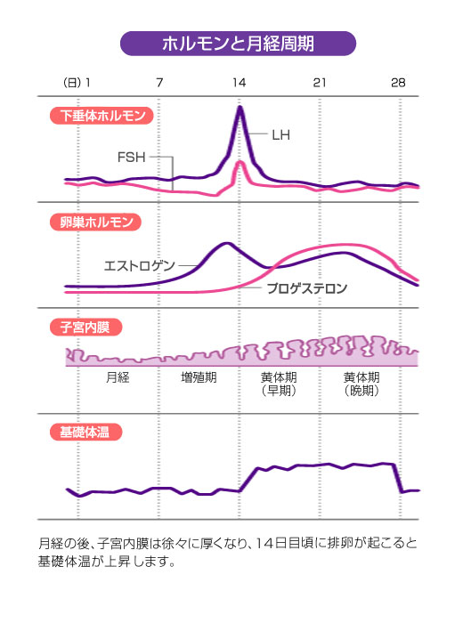 生理 1 週間 前 腹痛